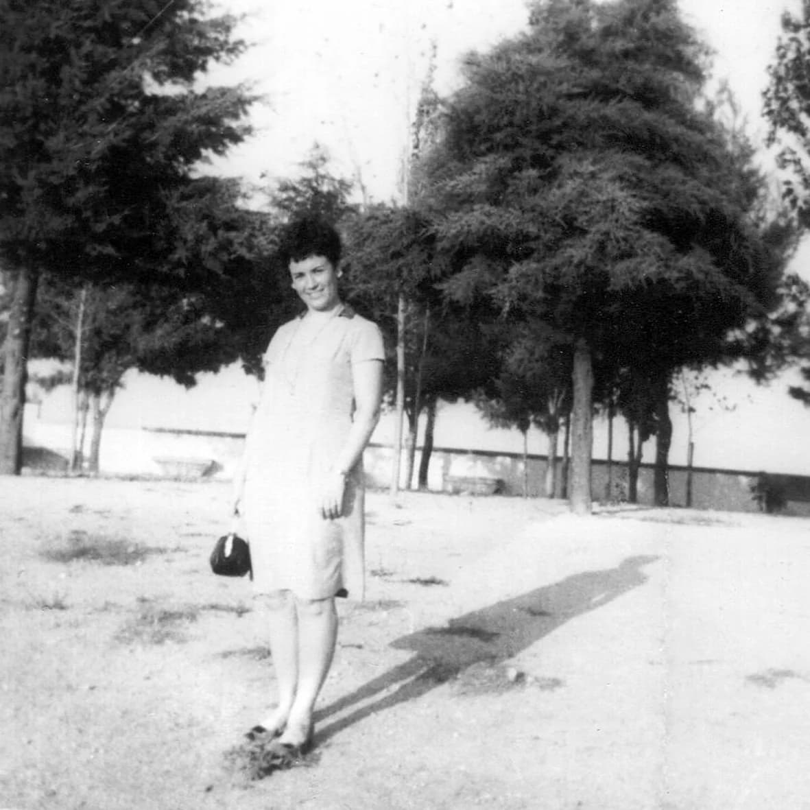 Cidade de Coimbra 1964